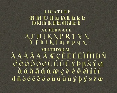 Raflink font