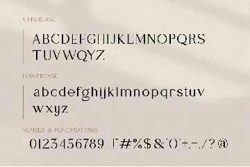 Vocago Serif Font