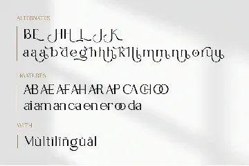 Vocago Serif Font