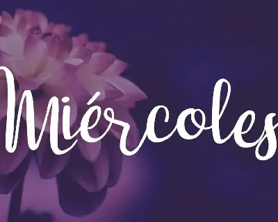 Dulce NiÃ±a Script Font