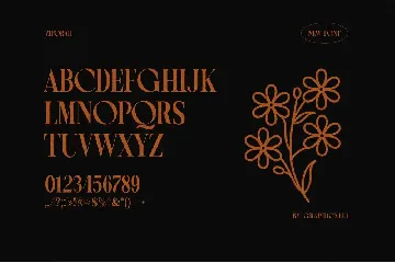 Ziporah Elegant Serif Font Typeface