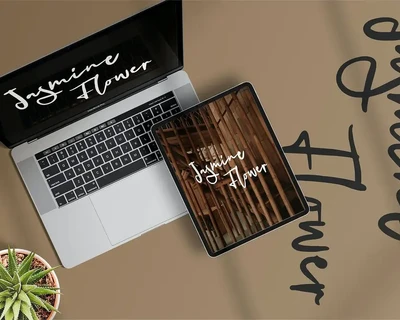 Balley | A beauty Script Font