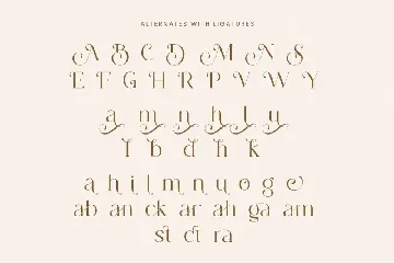 Mogan font