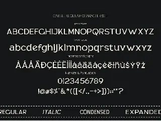 Casille - Serif Families font