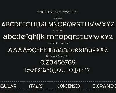 Casille - Serif Families font