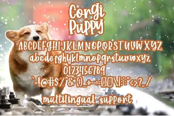 Corgi Puppy - Handwritten Font