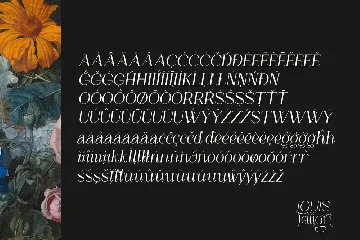 LOUIS felligri | Serif Display Font