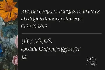 LOUIS felligri | Serif Display Font