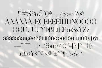 Resita font