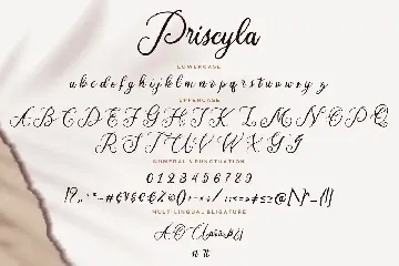 Priscyla Luxury Wedding Font