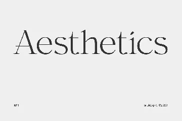 Aesthetic sE font