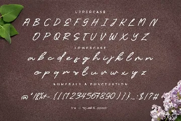 Candelia Handwritten Font