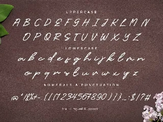 Candelia Handwritten Font