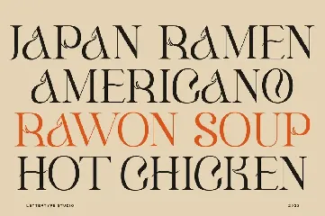 Klandestin Modern & Classical Serif font