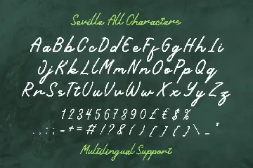 Seville Monoline Script Font
