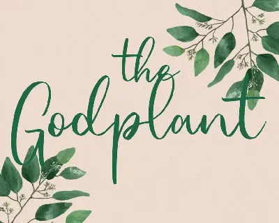 Jellylory Script Font