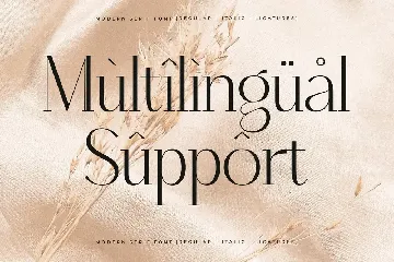 Qenliago Modern Serif Font