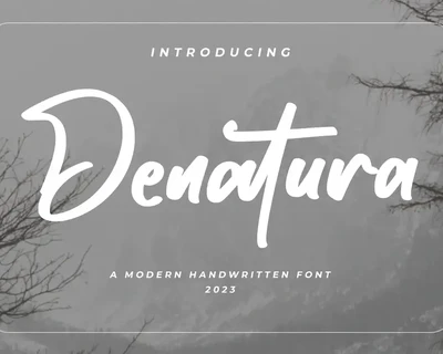 Denatura - Bold Script Font