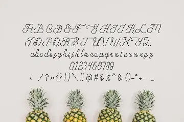 Fatheya Food Font