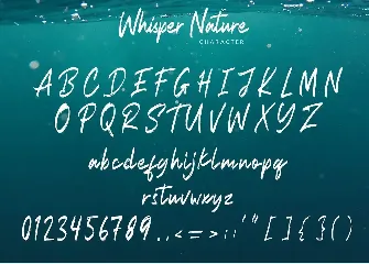 Whisper Nature Brush Script Font