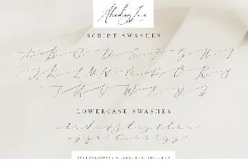 Abiding Love Collection Fonts