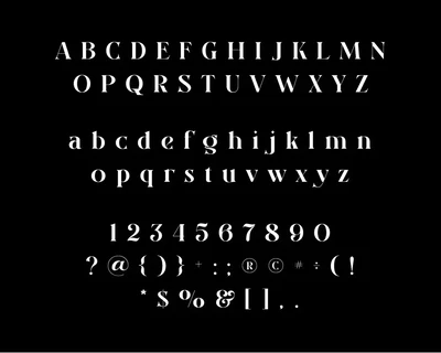 Michelle Elegante duo font