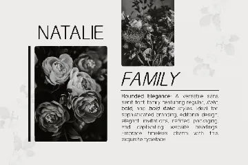 Natalie - Sans Serif Family Font