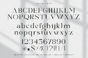 Chavak | Exotic Serif Font