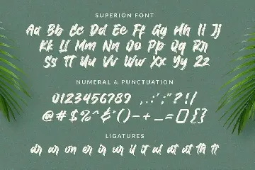 Superion - Brush Font