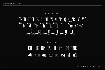 Vulcant - Condensed Serif Font
