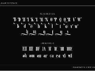 Vulcant - Condensed Serif Font