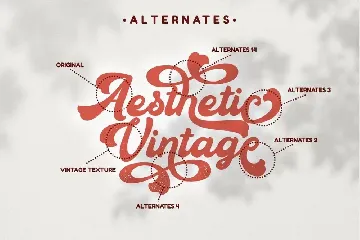 Aesthetic Vintage - Bold Vintage Script font