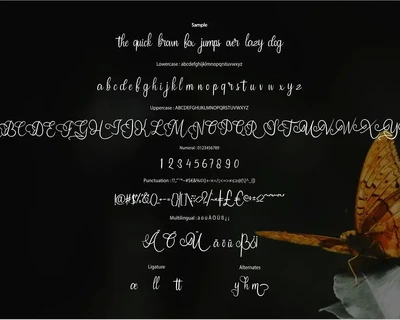 Butterfly | Modern Script Font