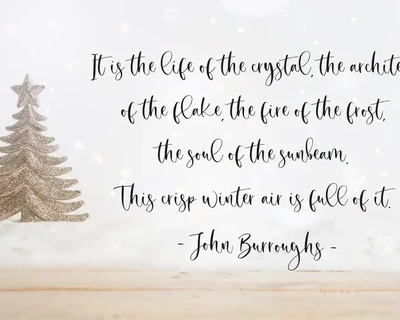 Secret Winter font