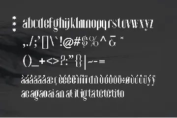 Migeta Modern Serif Font