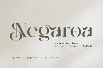 Negaroa font