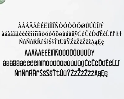 Carolin Duo Font Family Pack