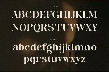 WONDER SEASON font