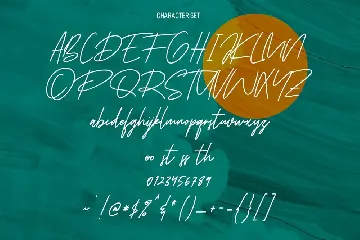 Borillaz Signature Script Font