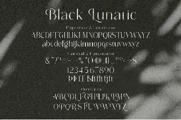 Black Lunatic | Elegant Serif Font