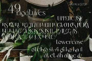 Colibre Bristole | Display Font