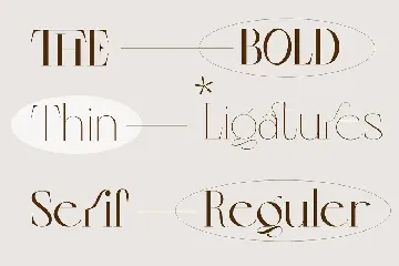 Colibre Bristole | Display Font