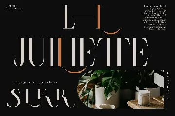 Colibre Bristole | Display Font