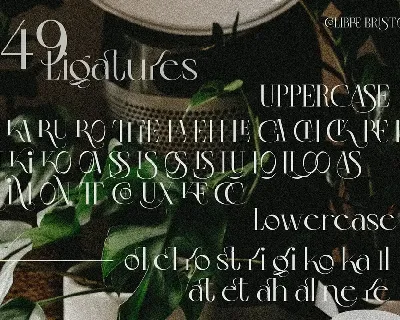 Colibre Bristole | Display Font