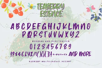 Teaberry Essence - Sweetness Playful Font