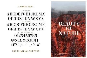 Crainzel font