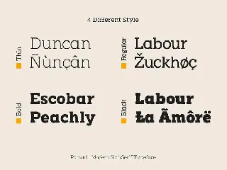 Pamuci - Modern Slab Serif Typeface font