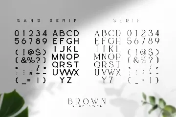 Brown Sunflower - Font Duo