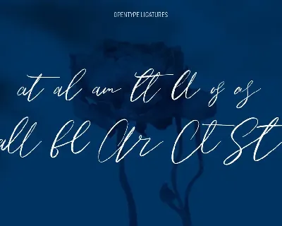 Owlishly Signature Script Font