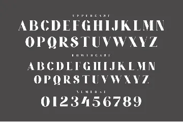 ROMANS Modern Serif Typeface font